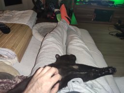 Katerstimmung